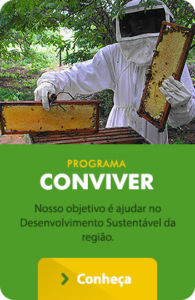 Programa Conviver