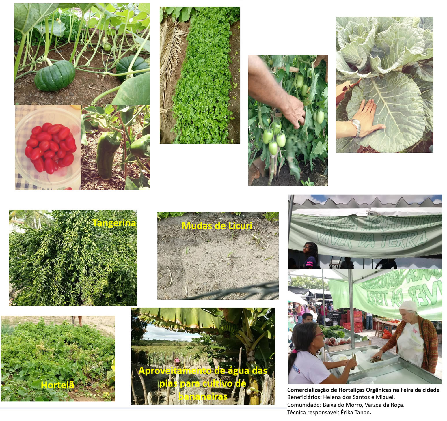 ATER SDR/BAHIATER Nº 016/2015, Lote 001